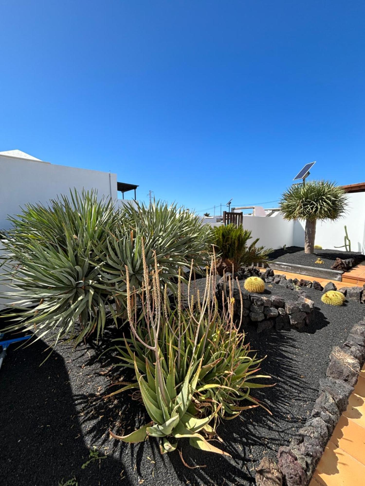 הוילה Rincon Oasis Nazaret מראה חיצוני תמונה